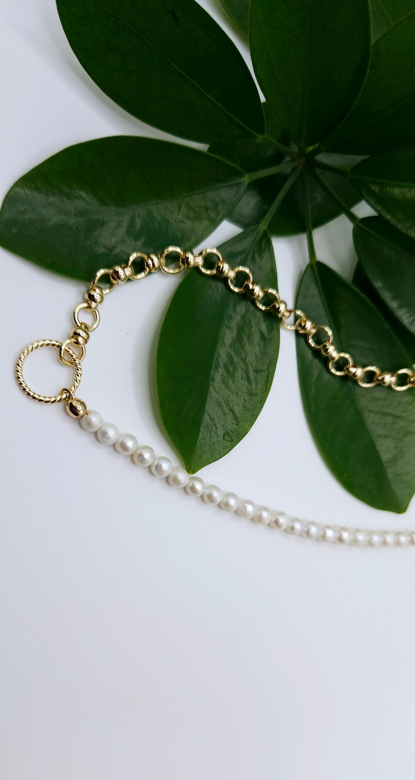Collier Acacia